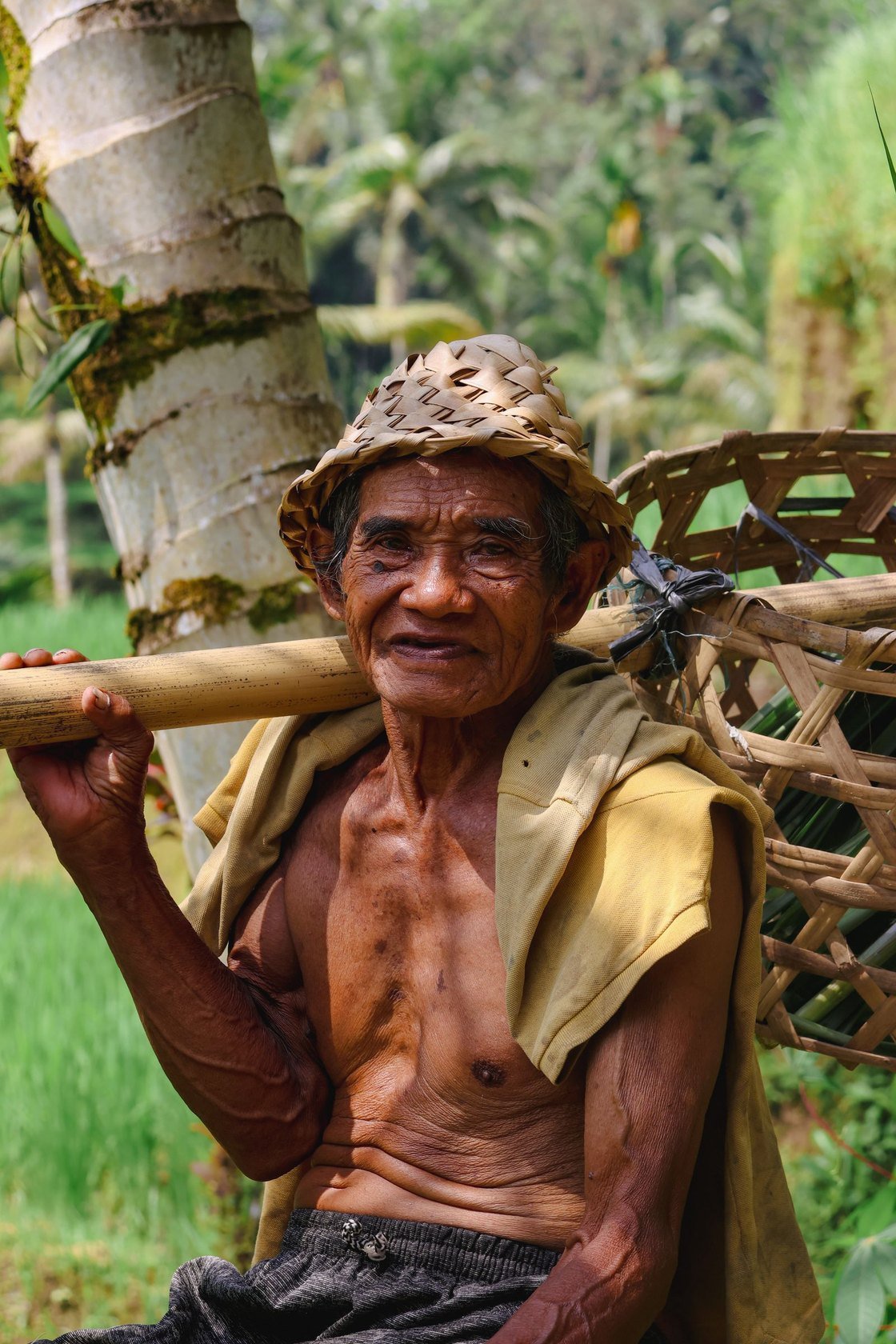 Elderly Balinese farmer in a woven hat carrying a bamboo pole and basket beside the rice fields