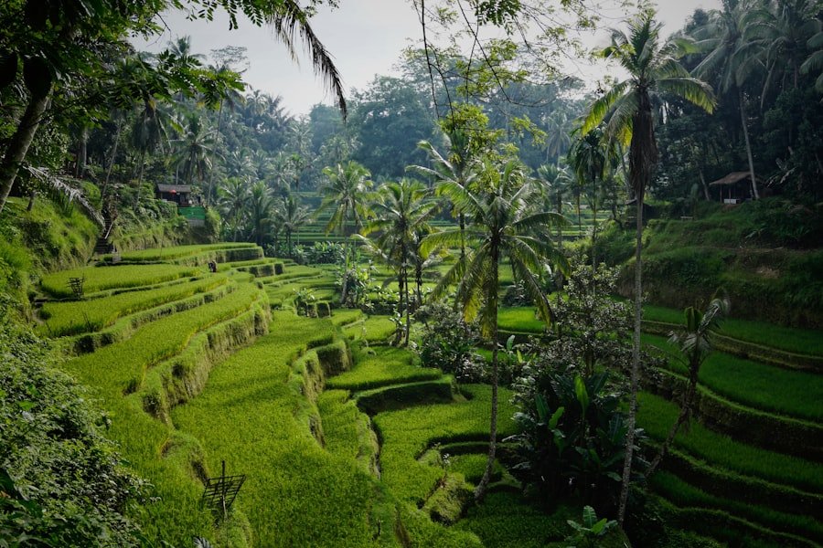 Lombok & The Gili Islands